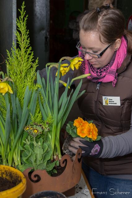 20. Jugendwettkampf 2013 der Floristen-Auszubildenden im Bezirk Schwaben-Mitte.