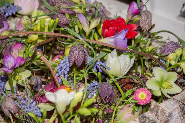 20. Jugendwettkampf 2013 der Floristen-Auszubildenden im Bezirk Schwaben-Mitte.