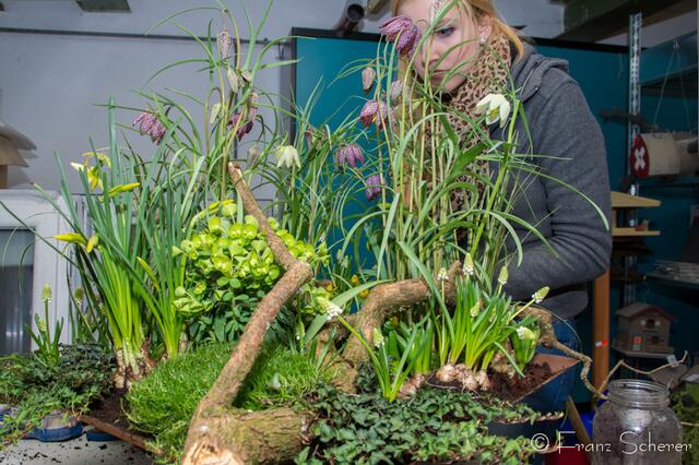 20. Jugendwettkampf 2013 der Floristen-Auszubildenden im Bezirk Schwaben-Mitte.