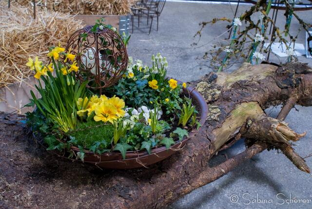 20. Jugendwettkampf 2013 der Floristen-Auszubildenden im Bezirk Schwaben-Mitte.