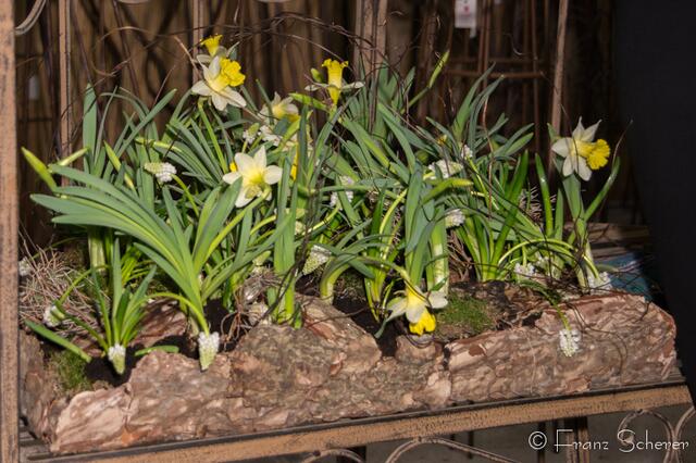20. Jugendwettkampf 2013 der Floristen-Auszubildenden im Bezirk Schwaben-Mitte.