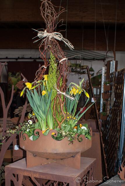 20. Jugendwettkampf 2013 der Floristen-Auszubildenden im Bezirk Schwaben-Mitte.
