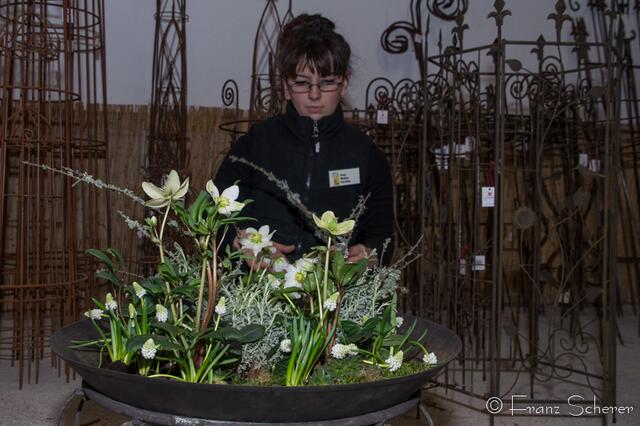 20. Jugendwettkampf 2013 der Floristen-Auszubildenden im Bezirk Schwaben-Mitte.