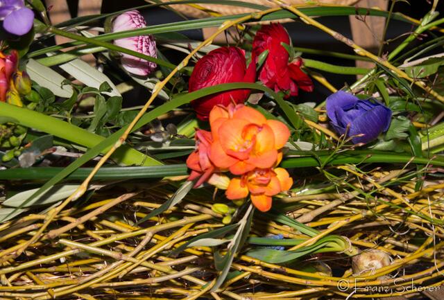 20. Jugendwettkampf 2013 der Floristen-Auszubildenden im Bezirk Schwaben-Mitte.