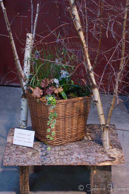20. Jugendwettkampf 2013 der Floristen-Auszubildenden im Bezirk Schwaben-Mitte.