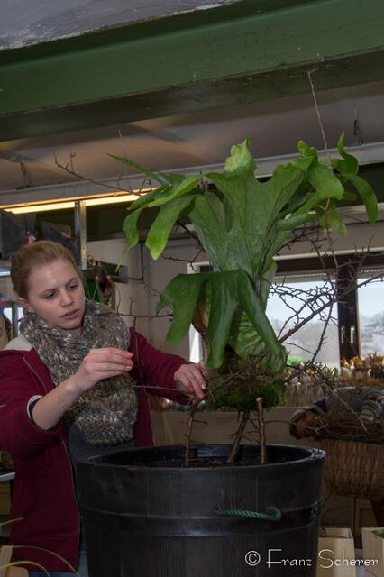 20. Jugendwettkampf 2013 der Floristen-Auszubildenden im Bezirk Schwaben-Mitte.