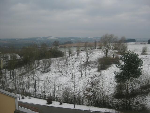 19.3.2013