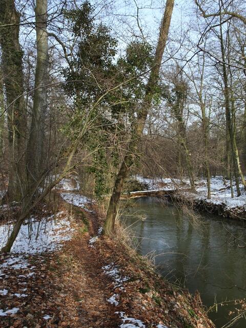 Pfad an der Fuhse