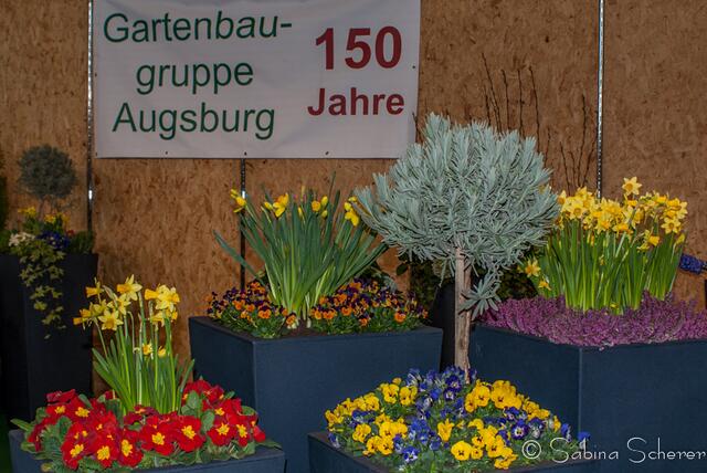 afa 2013 - Lust auf Frühling