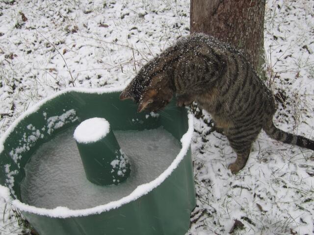 Daraus trinke ich sonst immer, wenn ich im Garten bin - hm?!