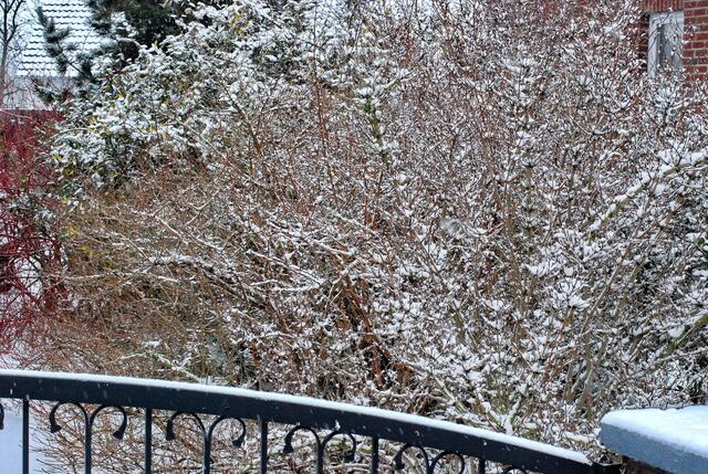 Doch der Winter kommt im März wieder ...