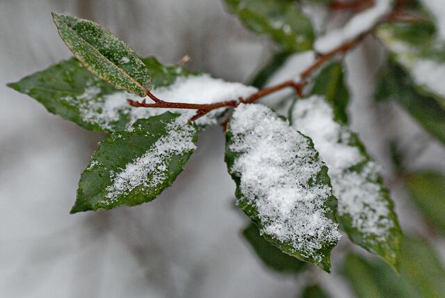 Mitte März & immer noch Schnee ...