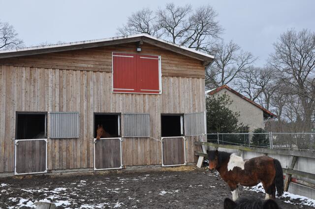 Im Detail - Weferlingsen im Burgdorfer Land © OKOK TELEVISION