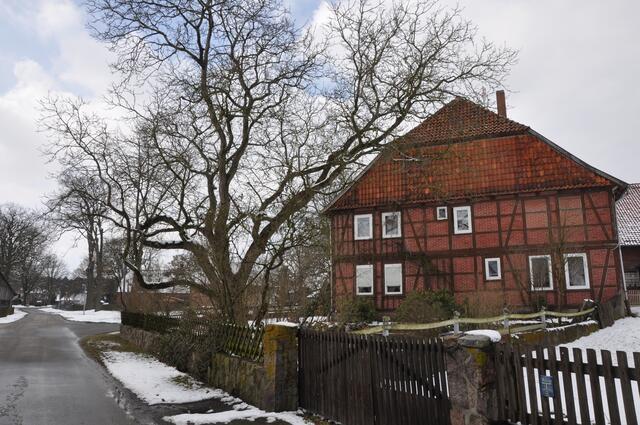 Im Detail - Weferlingsen im Burgdorfer Land © OKOK TELEVISION