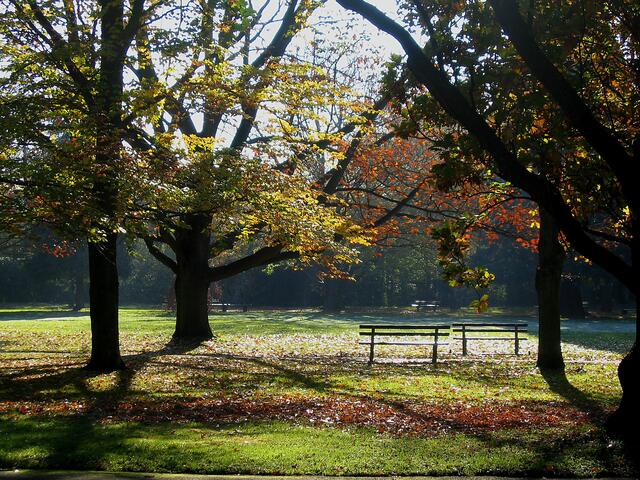 Herbst im Kurpark