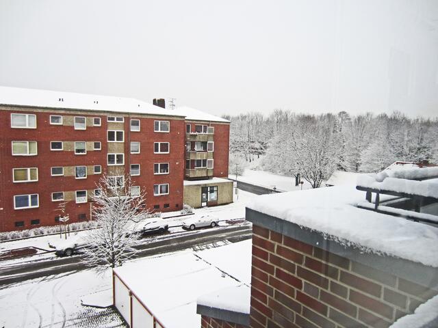 21. März 2013. Hannover-Groß-Buchholz.