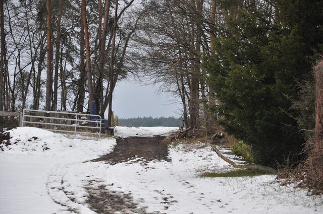 Im Detail - Weferlingsen im Burgdorfer Land © OKOK TELEVISION