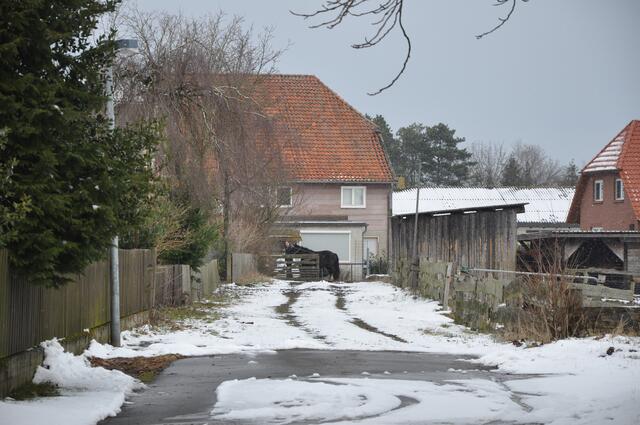 Im Detail - Weferlingsen im Burgdorfer Land © OKOK TELEVISION
