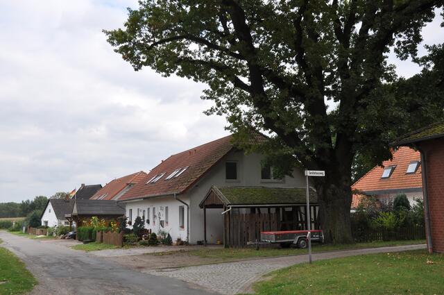 Im Detail - Weferlingsen im Burgdorfer Land © OKOK TELEVISION