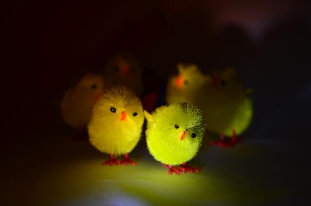 Im Rampenlicht!