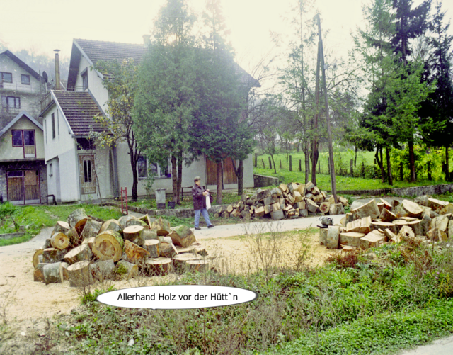 Holz-das einzige Heizmittel