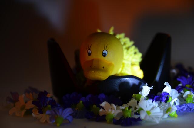 ...wozu man doch eine Sonnenblende auch nutzen kann, lolol!