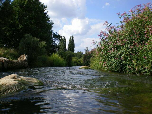 Hannover-Döhren: Ca 300m vor dem Wehr der Fischpasseingang. Ideal zum preiswerten Kombi-Kanu-Fischpass umzubauender Fischpass!!!  Einfacher und preiswerter als _ http://www.fuerstenberger-seenland.de/fuerstenberg-paddeln.html | Foto: Müller