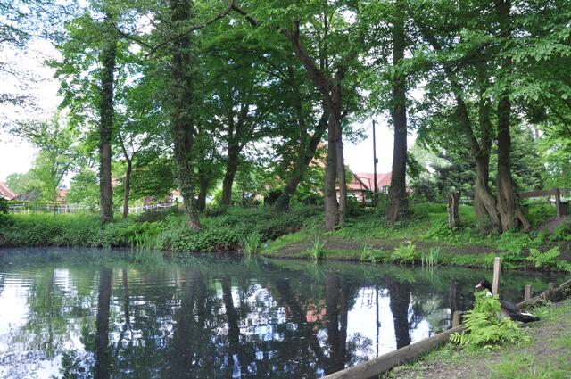 Im Detail - Negenborn im Burgdorfer Land © OKOK TELEVISION