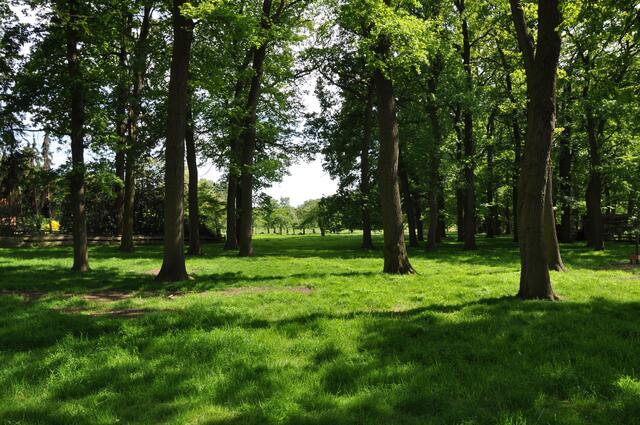 Im Detail - Negenborn im Burgdorfer Land © OKOK TELEVISION