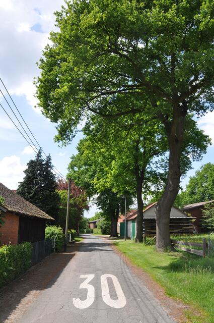 Im Detail - Negenborn im Burgdorfer Land © OKOK TELEVISION