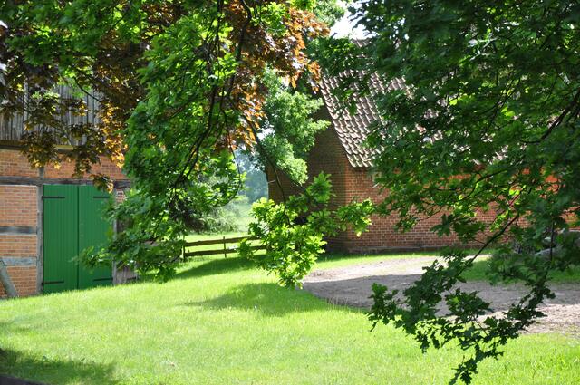 Im Detail - Negenborn im Burgdorfer Land © OKOK TELEVISION
