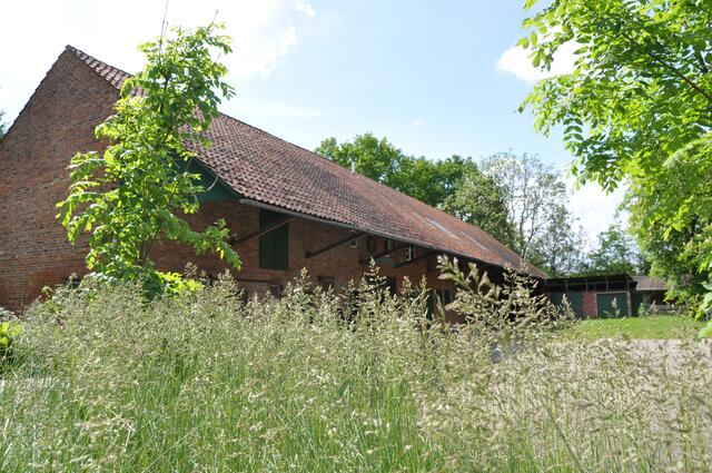 Im Detail - Negenborn im Burgdorfer Land © OKOK TELEVISION