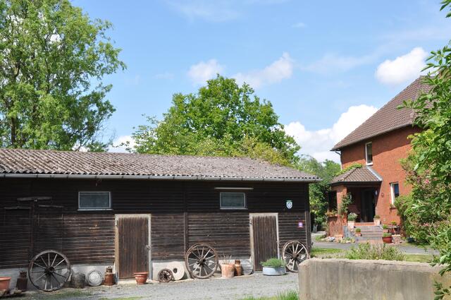 Im Detail - Negenborn im Burgdorfer Land © OKOK TELEVISION