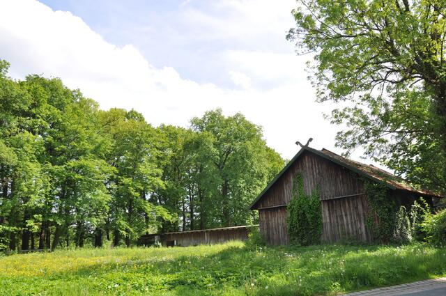 Im Detail - Negenborn im Burgdorfer Land © OKOK TELEVISION