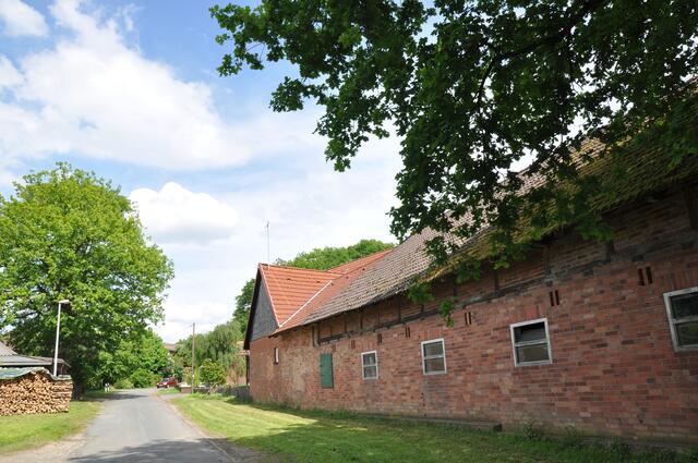 Im Detail - Negenborn im Burgdorfer Land © OKOK TELEVISION