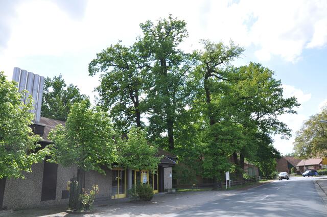 Im Detail - Negenborn im Burgdorfer Land © OKOK TELEVISION