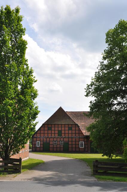 Im Detail - Negenborn im Burgdorfer Land © OKOK TELEVISION