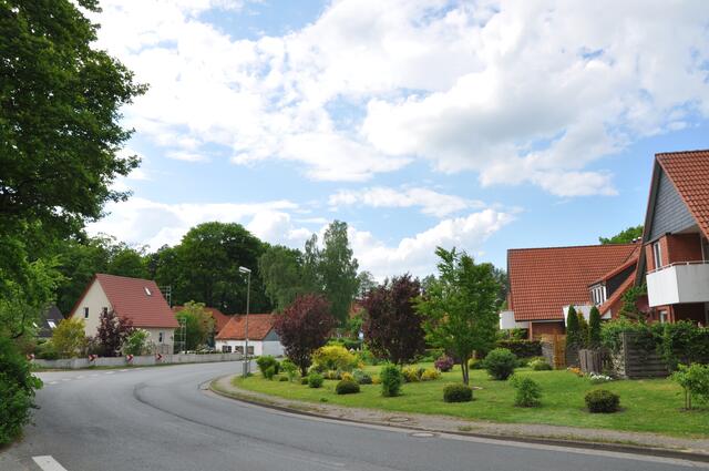 Im Detail - Negenborn im Burgdorfer Land © OKOK TELEVISION