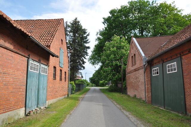 Im Detail - Negenborn im Burgdorfer Land © OKOK TELEVISION