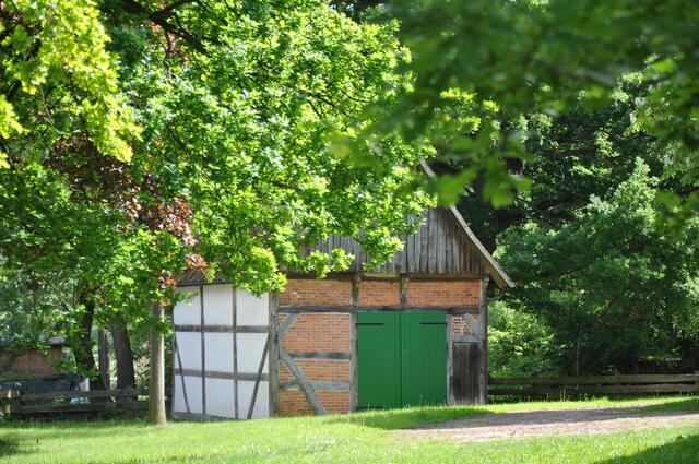 Im Detail - Negenborn im Burgdorfer Land © OKOK TELEVISION