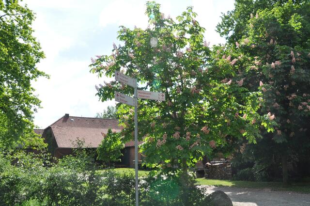 Im Detail - Negenborn im Burgdorfer Land © OKOK TELEVISION