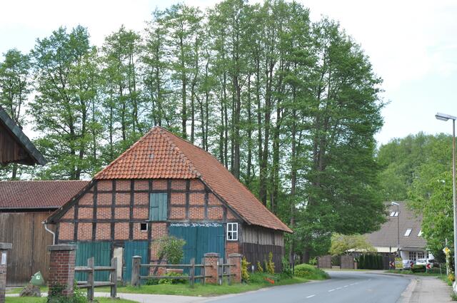 Im Detail - Negenborn im Burgdorfer Land © OKOK TELEVISION