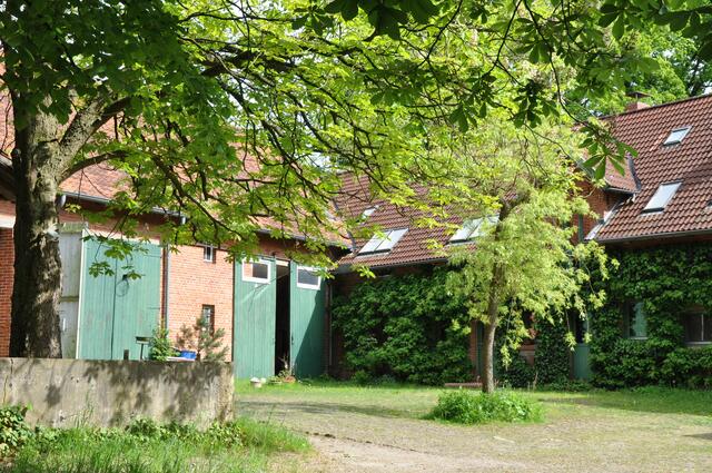 Im Detail - Negenborn im Burgdorfer Land © OKOK TELEVISION