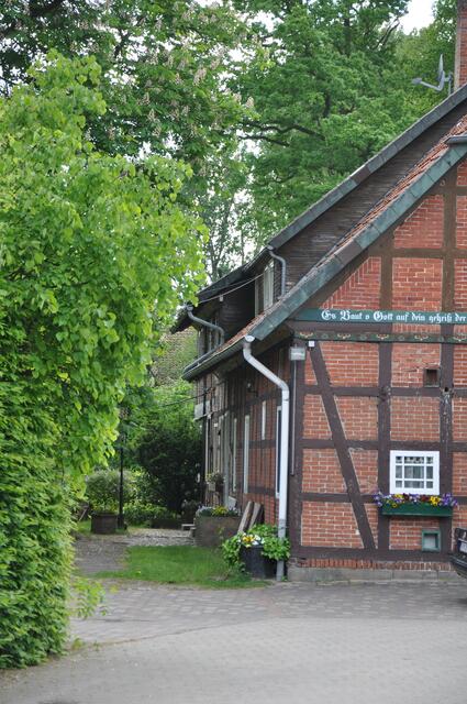 Im Detail - Negenborn im Burgdorfer Land © OKOK TELEVISION