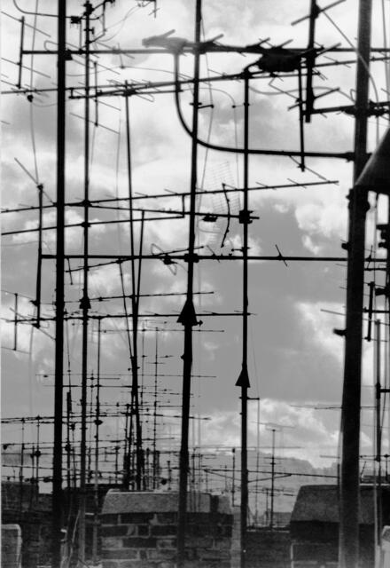 Antennenwald