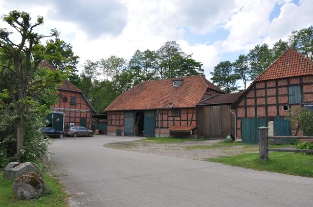 Im Detail - Negenborn im Burgdorfer Land © OKOK TELEVISION