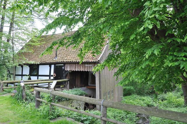 Im Detail - Negenborn im Burgdorfer Land © OKOK TELEVISION