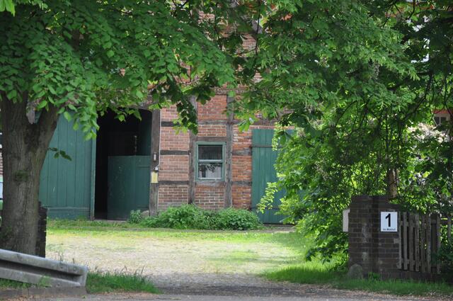 Im Detail - Negenborn im Burgdorfer Land © OKOK TELEVISION
