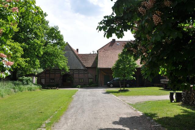 Im Detail - Negenborn im Burgdorfer Land © OKOK TELEVISION