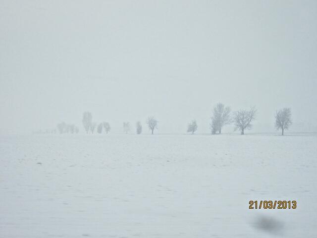 So sah es aus, als ich an diesem Tag wieder zurück in Oerie war. Wo ist unser Dorf?